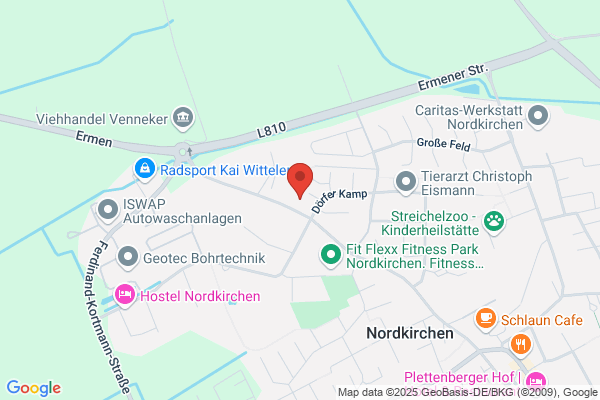 Thygs Ingo Bosch-Service