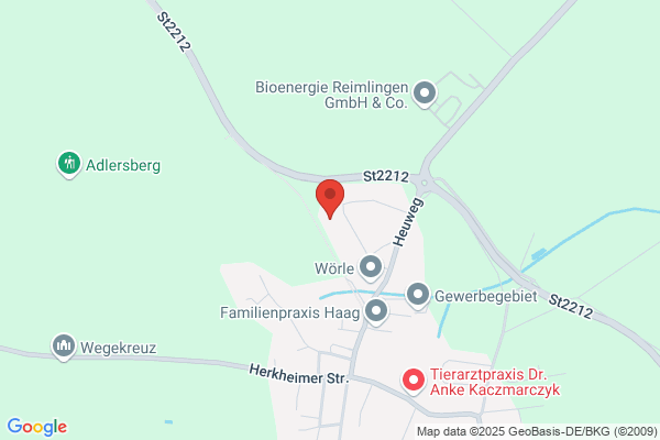 IBS GmbH