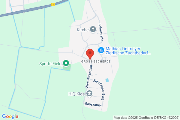 BS Dienstleistungen