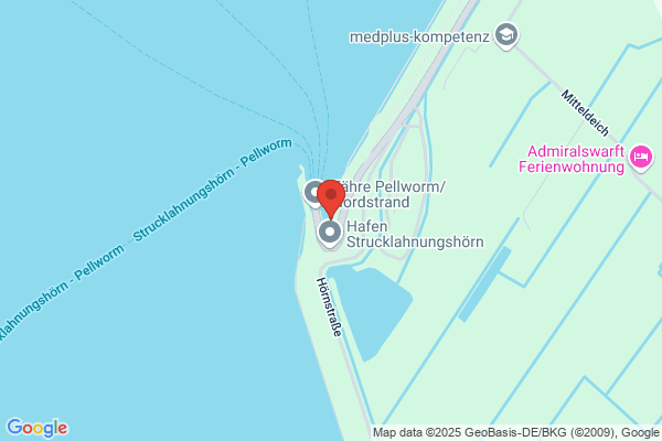Adler-Schiffe