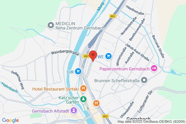 Rolli-Taxi-Rafael GmbH