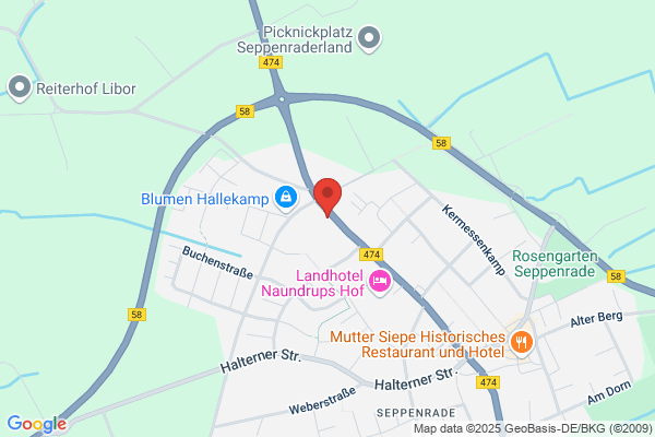 N. Elektrotechnik Schneider