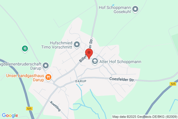 Bienek GmbH