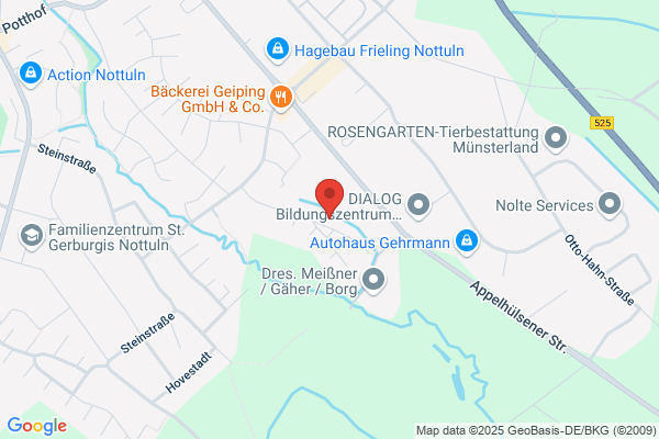 Moehlen Consulting