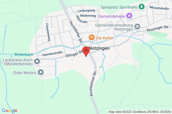 Denzinger Software GmbH