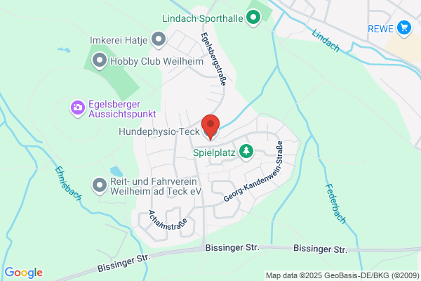 Hundephysio-Teck