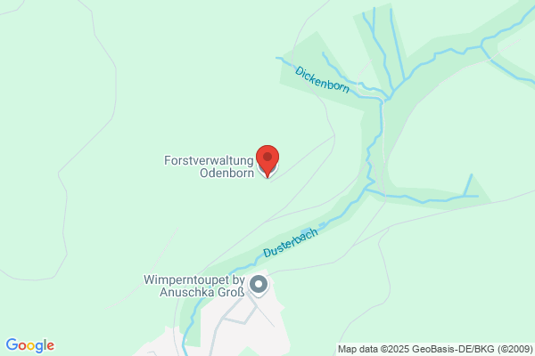 Forstverwaltung Böhmer Olaf Forsteinrichter