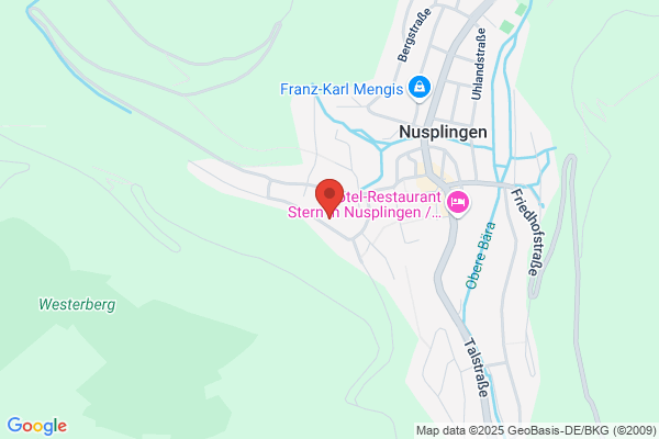 Sprenger-Antriebssysteme GmbH