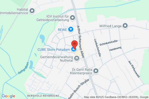 Büdke