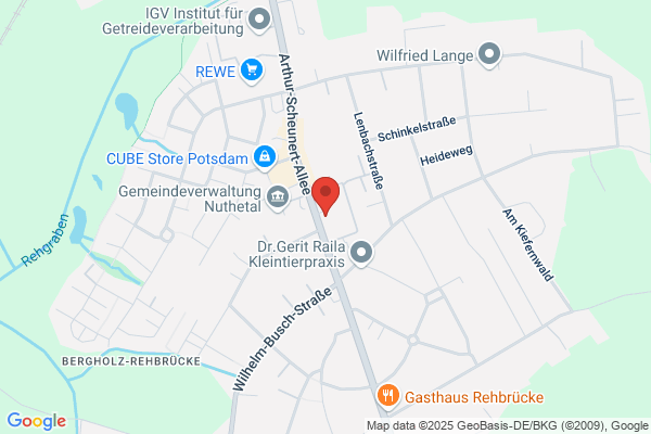 Rohde,Ines