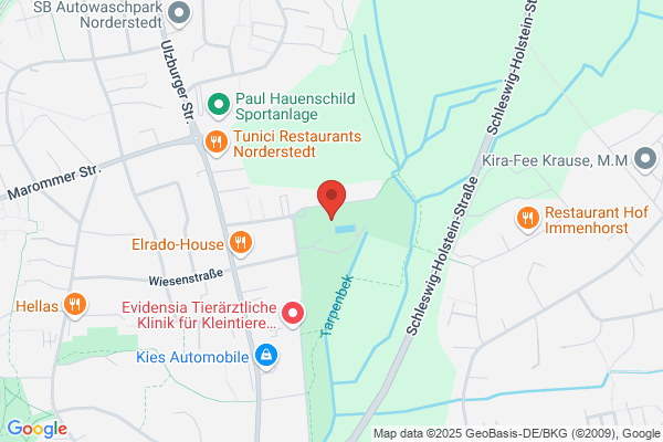Schwimmschule Thieme