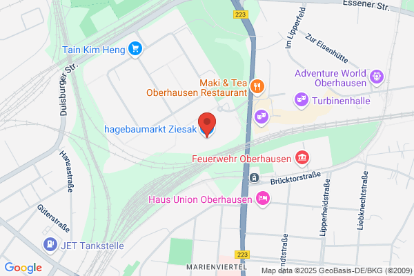 Ziesak F.W. GmbH & Co . KG