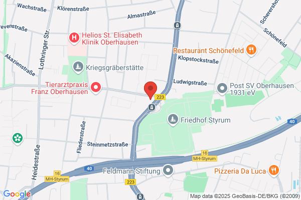 Blumen Schmidt