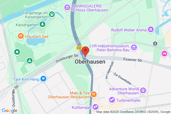 Inge Ketzer