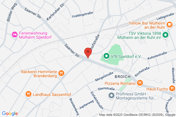 Officilia Raumkunst und Pflanze - hochwertige Kunstpflanzen, Gefäße und Beratung