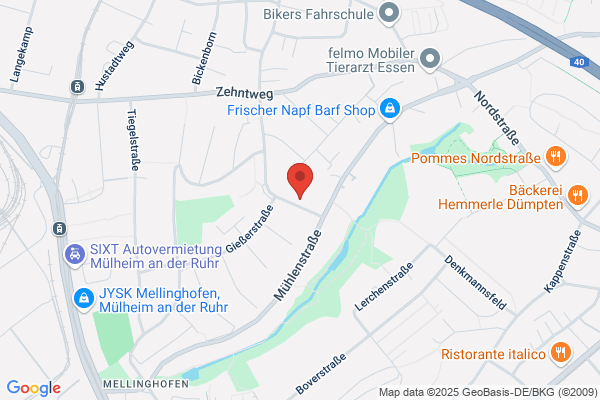 Frau Pfarrerin Jäger Kirchen-evangel.Gemeinde Markus