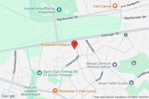 Mesanus GmbH