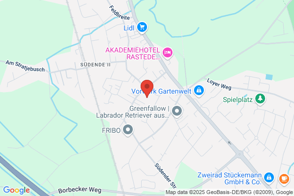 Kinesiologie Karin Sievers
