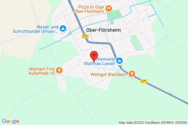 Büro-Service Rhein-Main Inh. Heidi Geyer