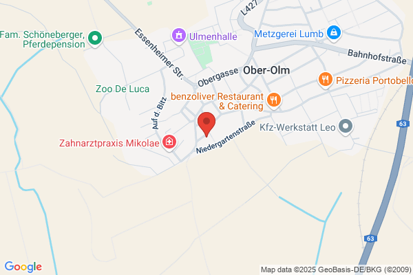 Karl Schmitt