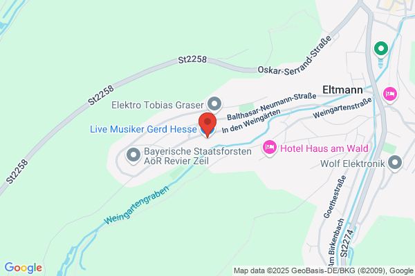 Live Musiker Gerd Hesse