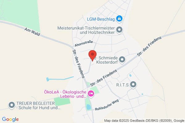 Kita "Die kleien Teichfrösche"
