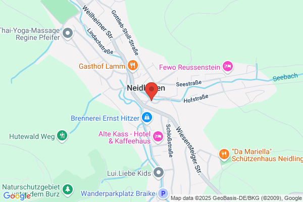 Manfred Ambacher