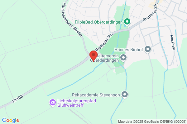 Freiwillige Feuerwehr Oberderdingen