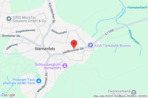 Heinrich Simmel, Helen Simmel