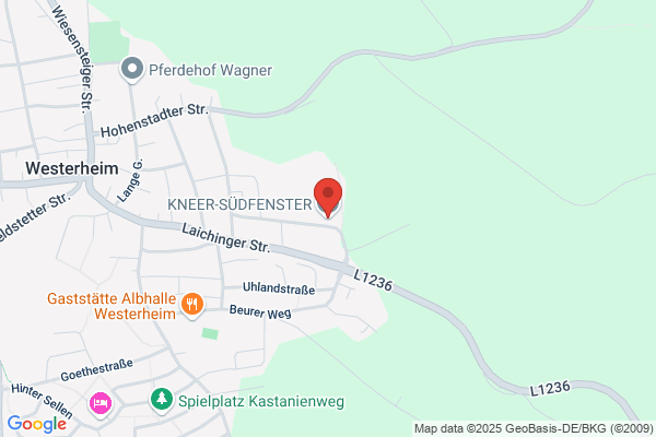 Hans Kneer