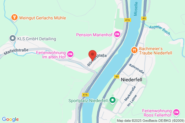 Hundephysiotherapie Ursel Steiner