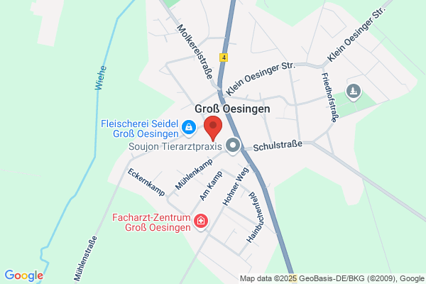 Freiwillige Feuerwehr