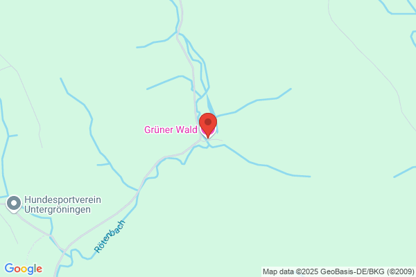 Grüner Wald