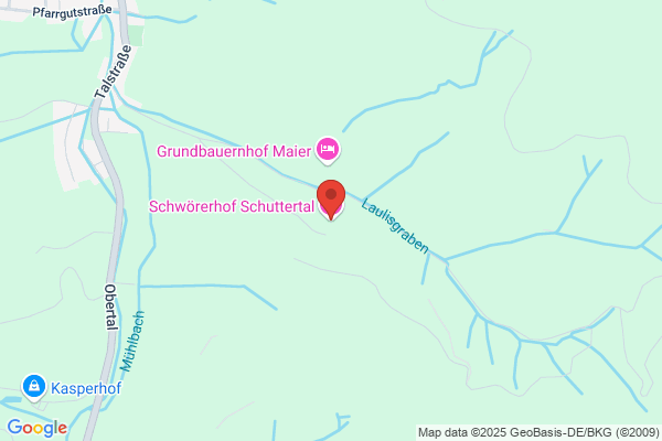 Heidi Schwörer