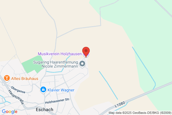 Musikverein Holzhausen