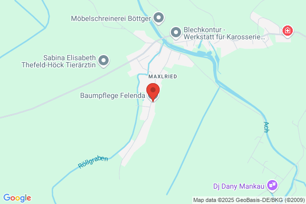 Baumpflege | Joris Felenda | Oberhausen