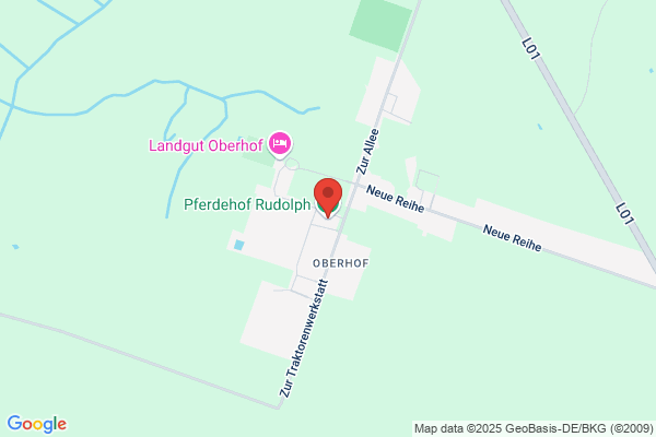 Frank Rudolph