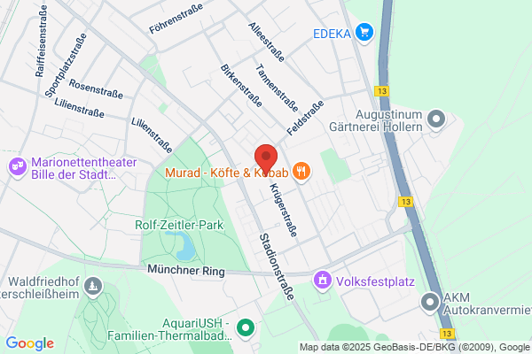 Dipl.-Kfm. Brigitte Aschauer