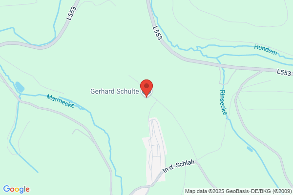 Dipl.-Ing. Gerhard Schulte