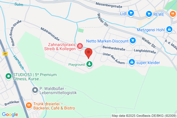 Frank electronic GmbH