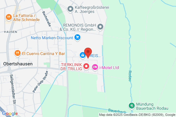 DAMA Bau Gmbh