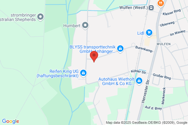 ALZ GmbH