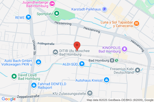 Enterprise Autovermietung und Transporter - Bad Homburg