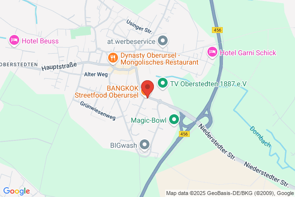 Taunus-Schwimmanlagen Steffek GmbH