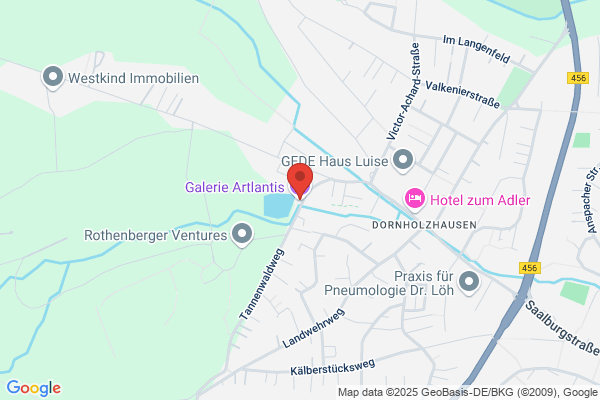Kunstverein Bad Homburg Artlantis e.V.