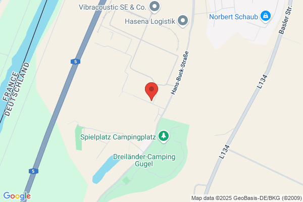 Leisinger GmbH, Ernst