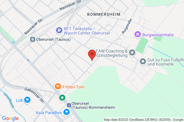 IB Südwest gGmbH für Bildung u. soziale Dienste Kinder-u. Jugendzen. Bommersheim