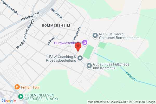 Burgwiesenschule
