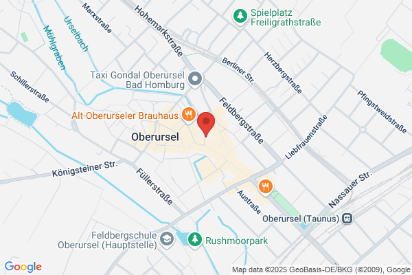 Amicus Organisation für