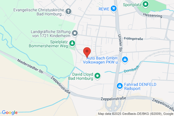 Bad Homburg Report